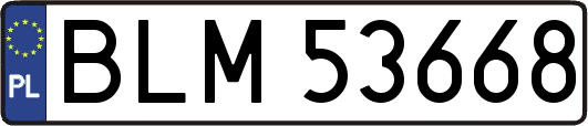 BLM53668