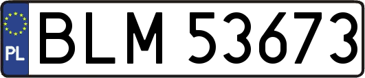 BLM53673