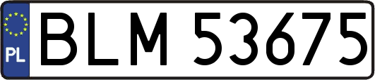 BLM53675