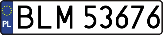 BLM53676