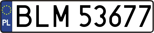 BLM53677
