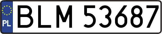BLM53687