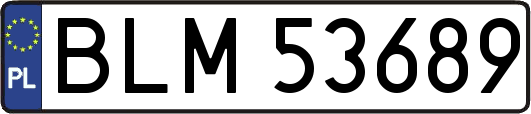 BLM53689