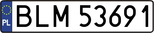BLM53691