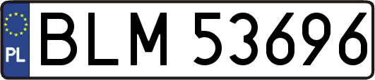 BLM53696