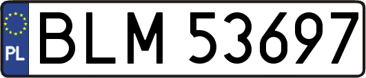 BLM53697