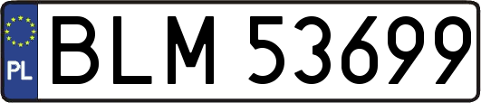 BLM53699
