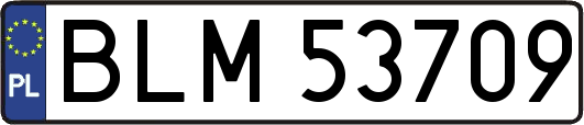 BLM53709