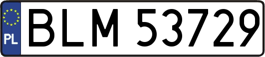 BLM53729