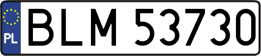 BLM53730