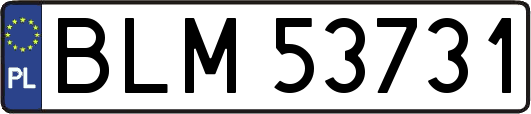 BLM53731