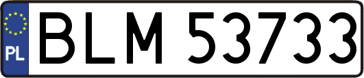 BLM53733