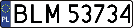 BLM53734