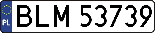 BLM53739