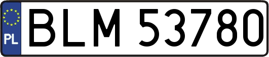 BLM53780