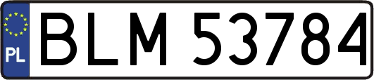 BLM53784