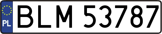 BLM53787