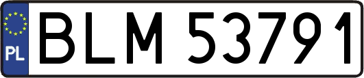 BLM53791