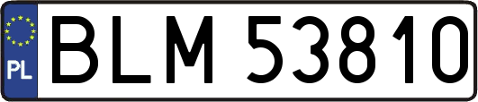 BLM53810