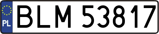 BLM53817