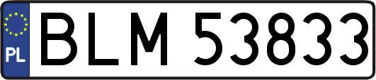 BLM53833