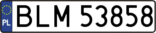 BLM53858