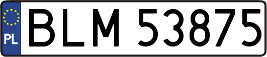 BLM53875