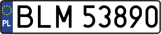 BLM53890