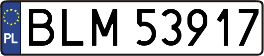 BLM53917