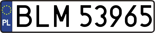 BLM53965