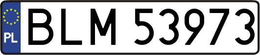 BLM53973