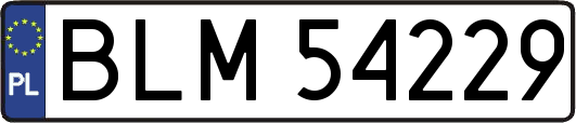 BLM54229