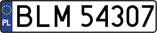 BLM54307