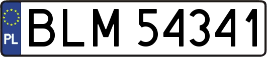 BLM54341