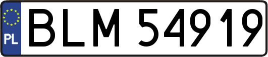BLM54919