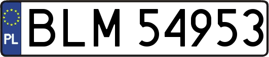 BLM54953