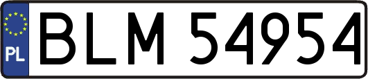 BLM54954