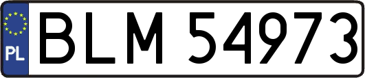 BLM54973