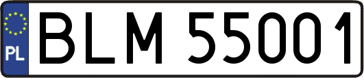 BLM55001