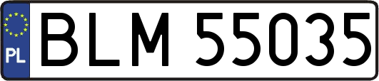 BLM55035