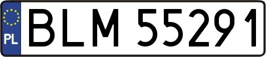 BLM55291