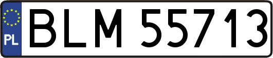 BLM55713