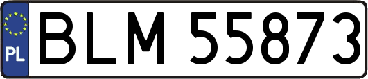 BLM55873