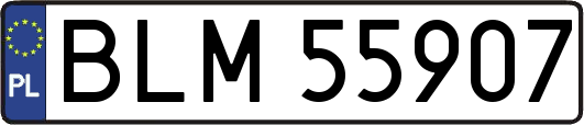 BLM55907