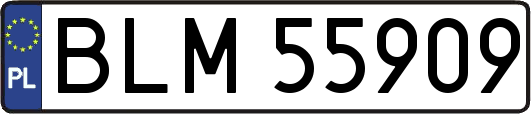 BLM55909