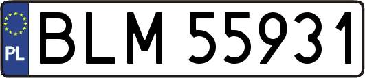 BLM55931