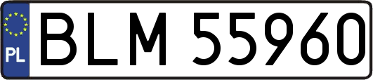 BLM55960