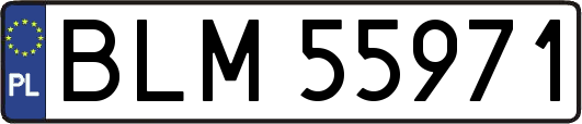 BLM55971