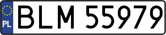 BLM55979