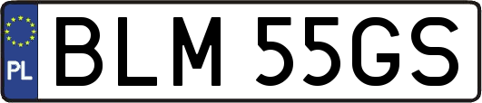 BLM55GS